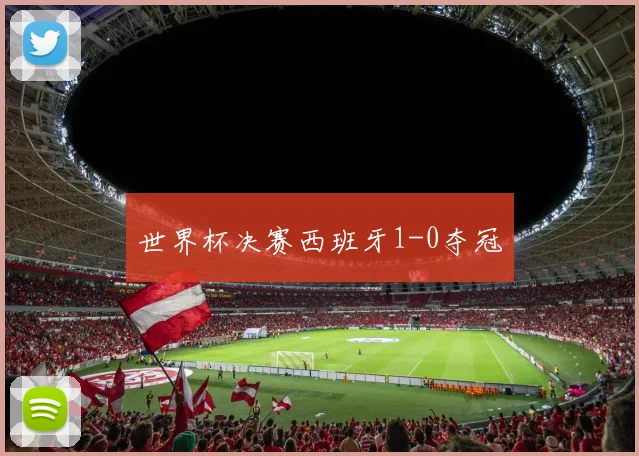 世界杯决赛西班牙1-0夺冠